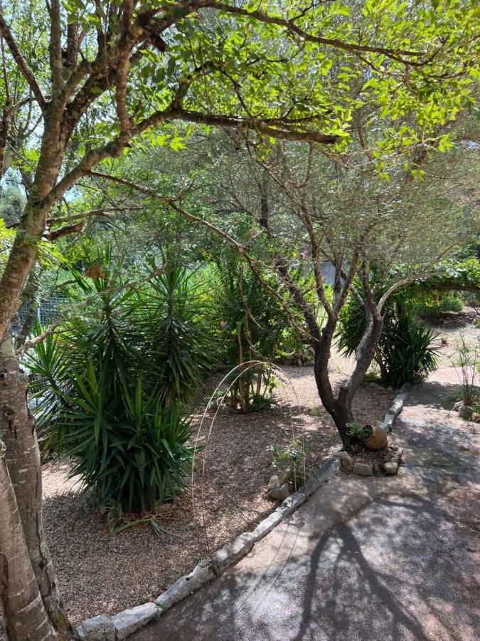 Casa Samasama Villa Porto-Vecchio  Bagian luar foto